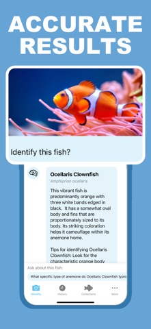 Fish Finder screenshot 2