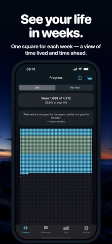 Life Countdown: Weeks Left screenshot 2