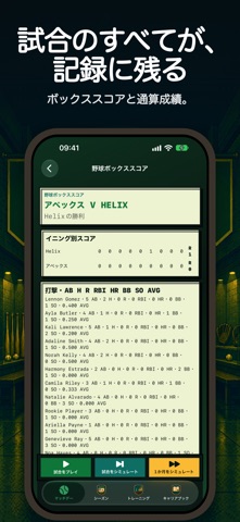 Baseball Quest screenshot 5